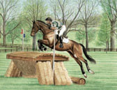 Eventing, Equine Art - Straw Bale Jump